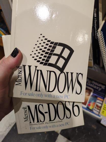 manuals for Windows 3.1 and MS-DOS 6, a matched set