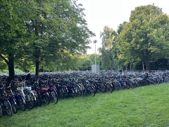 More bicycles perfectly parked in the park, like a sea filled with thousands of them. 

Really, this is getting ridiculous now! (Just kidding, this is how we roll in The Netherlands.)