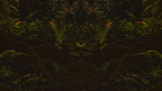 Shadow sprites perform rituals of fern and foul play in the darkness where mind meets gnosis. These sigils and summonings transform bleak possibilities into certain sorrow