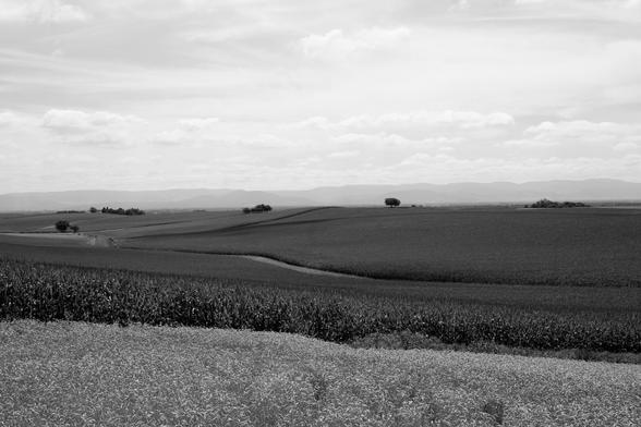 A black-and-white landscape featuring rolling fields, with varying shades of grass and crops. The horizon is lined with gentle hills and a few scattered trees under a cloudy sky.