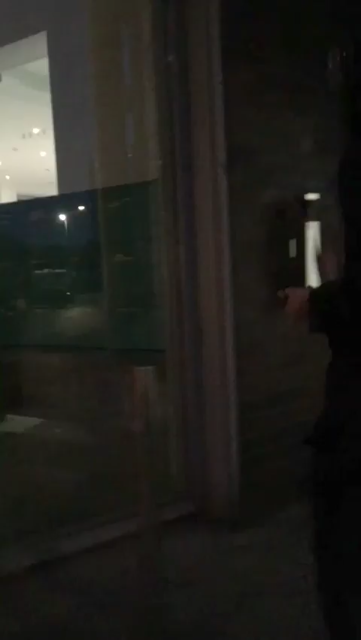 Footage of spraypainting and smashing windows at DSV in Hamburg