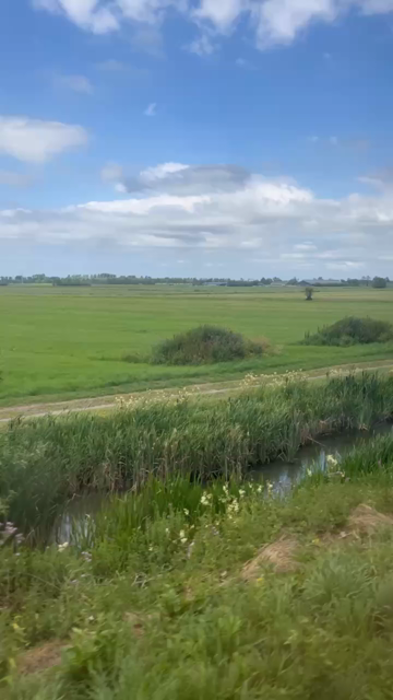 Tussen Geldermalsen en Beesd
