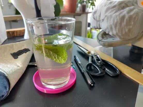 A glass filled with water, sirup, ice cubes and mint leaves.