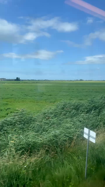 Gras, bomen, lucht tot in de verte.