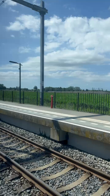 De trein rolt station Boven-Hardinxveld in.