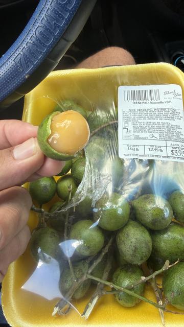 An open container of quenepas (also known as mamoncillos) is displayed, with one fruit held in a hand. The outer green skin is partially peeled away, revealing a translucent, yellowish fruit inside. The background includes a steering wheel