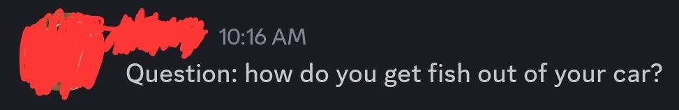 A chat user asks, "Question: how do you get fish out of your car?"