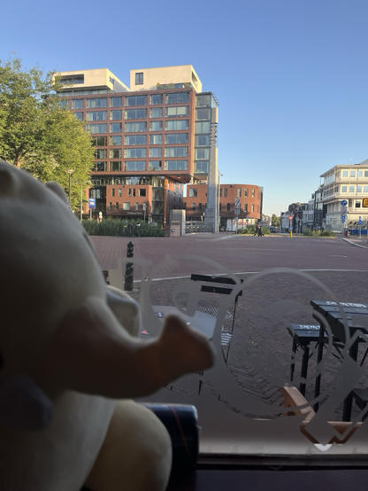Plushtodon looking outside