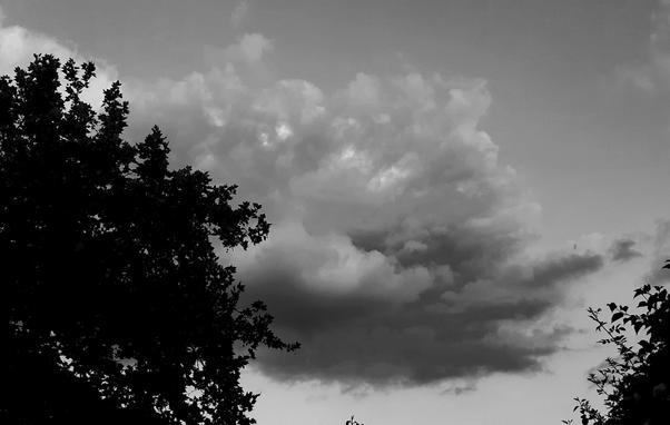 Black and white photo of a cloud. Some trees on the left and right corner are clipped against the sky