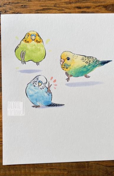 Drei kleine Illustrationen dreier Wellensittiche in unterschiedlichen Farben. Ein hellgrüner mit gelbem Kopf rennt frontal auf uns zu. Ein bläulich grüner mit gelbem Kopf flitzt von rechts nach links und ein blauer zeigt uns stolz sein Füßchen