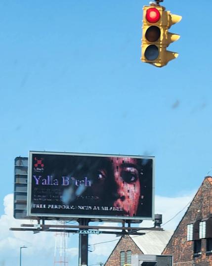 Picture of a stop light and a street sign.  Sign has a face looking out from behind a rainy pane of glass.  The print on the sign reads, "Yalla bitch!  Free performances available."