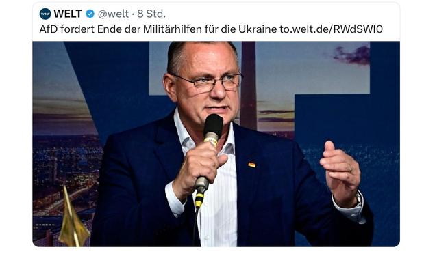 Die Welt, AFD fordert Ende der militärhilfe für die Ukraine