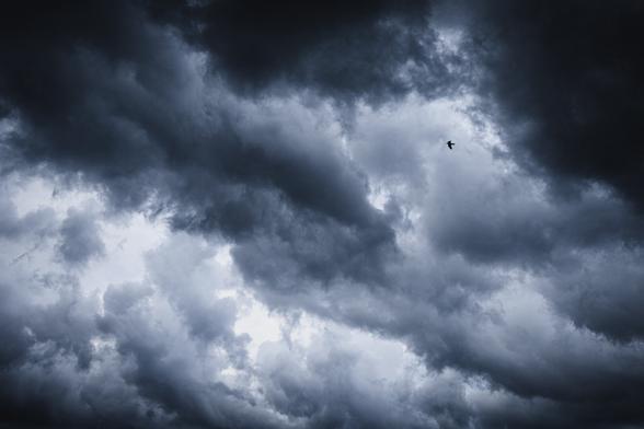 A photograph of a very contrasty steel blue dramatic cloud cover of partly very dark rain clouds with lighter patches inbetween and lots and lots of structure.

In one of the lighter parts near the top right, the silhouette of a dove, very small in the frame, flying toward the left.