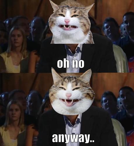 top gear meme (variation with cattes instead of twat clarkson)

captions: "oh no... anyway"