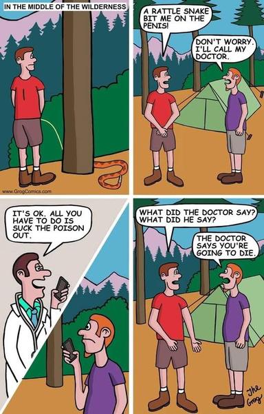 Image attached toot