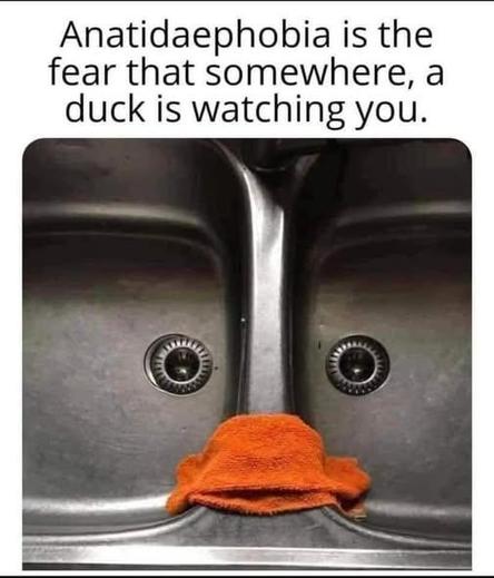 Image attached toot