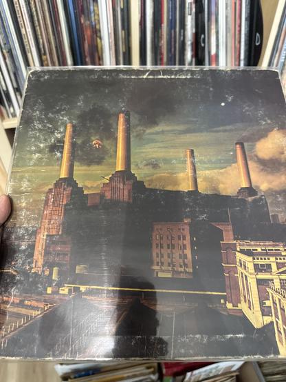 Pink Floyd’s Animals