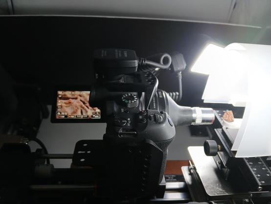 Canon R7 with a 3d microscope lens adapter and a 3d printed Light tunnel