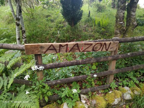 A homemade sign stating "Amazon", attached to the outside of my neighbour's garden fence.