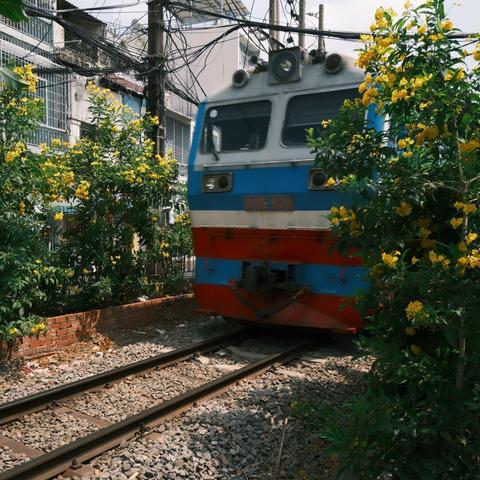 Locomotive moving on a track in the middle a town, with flowers planted on both sides of the railway line.