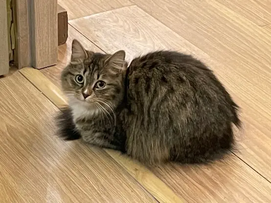 Same but looking at camera now