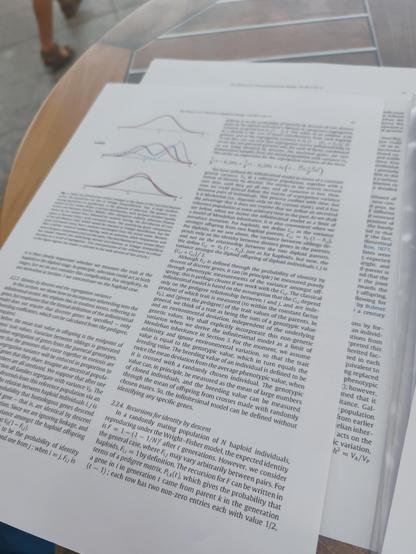 Une page avec une figure et des équations