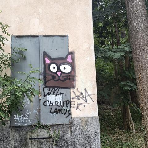 Ein dunkelbrauner Katzenkopfes mit großen weißen Augen, rosa Ohren und einer rosa Nase auf eine hellbeige Wand mit einem grauen Metalltor gespüht