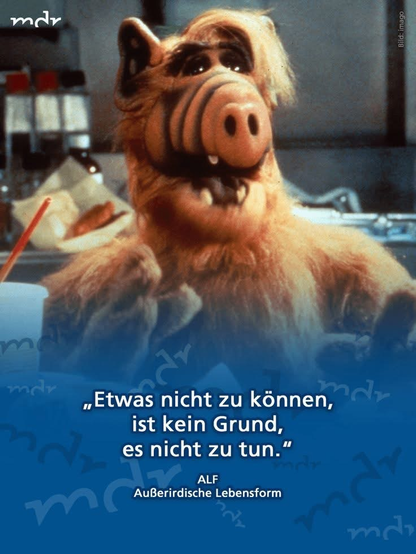 mdr
"Etwas nicht zu können,
ist kein Grund,
es nicht zu tun.”
ALF
AuBerirdische Lebensform