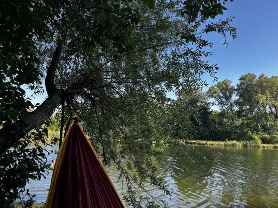 A shady nook with a burgundy hammock by a lake under a blue sky. There is no CVE for miles and none around here has the slightest idea what the MITRE framework is, probably nobody even knows what cURL is either.