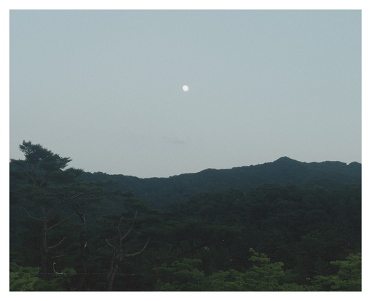A pale full moon hangs in a light gray, overcast sky above a dark, densely forested mountain range. Tall pine trees frame the foreground.
