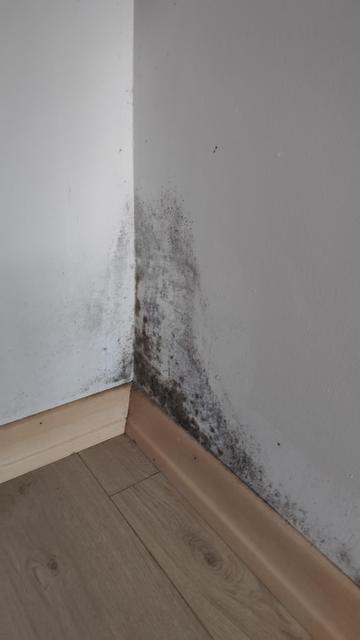 Schimmlige Zimmerecke