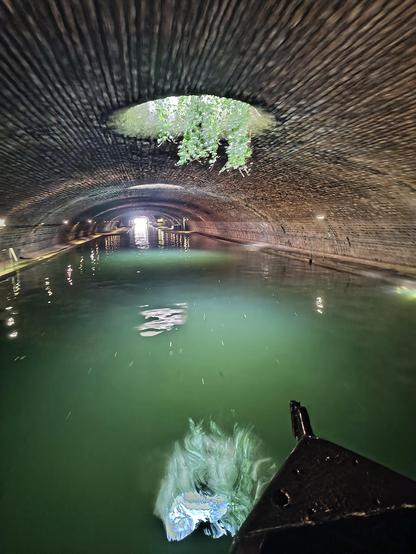 Le canal sous la voûte, depuis la proue d’un bateau. L’eau est très verte, éclairée par un « oculi » dans le plafond d’où pendent des feuilles. La voûte elle-même est en briques, plus large que haute. Au loin, on devine la sortie du tunnel sous Bastille et le port de l’Arsenal.