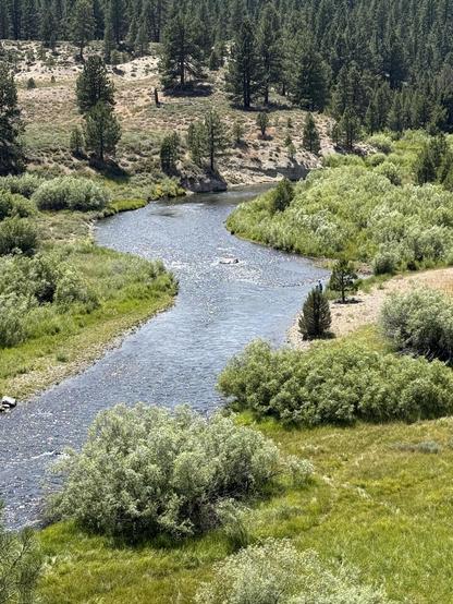 Looking down on a river that meanders along lush green meadows. Sunny.