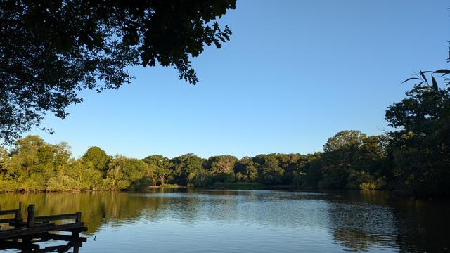 A view of Connaught Water in Epping Forest