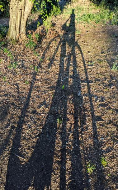 A very long shadow of me on a bike