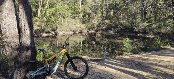 A blue and yellow eMTB leans against a tree in front of Wheel Gully dam. It's the largest dam along the Oaks firetrail, and is surrounded by natural bushland. A tree has fallen in. The water reflects surrounding natural bushland.