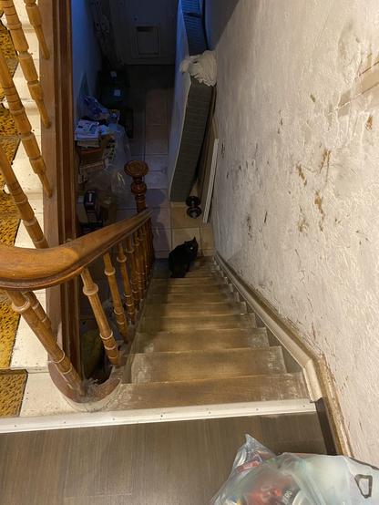 Picture looking down a staircase, ending in a messy hallway. The black cat is sitting on the stairs about 3/4 down, looking up.