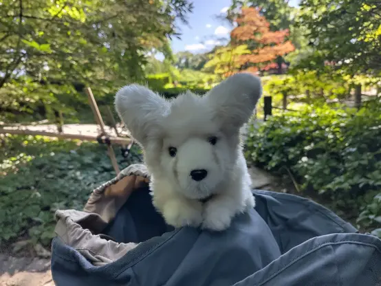 A fennec fox plushie sitting on a backpack with the colorful Japanese garden in the back