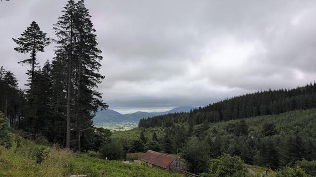 A view out of a hilly forest area. There is a little building with a rusted metal roof. It's a bit cloudy.