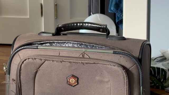 A tabby cat emerging from a brown suitcase