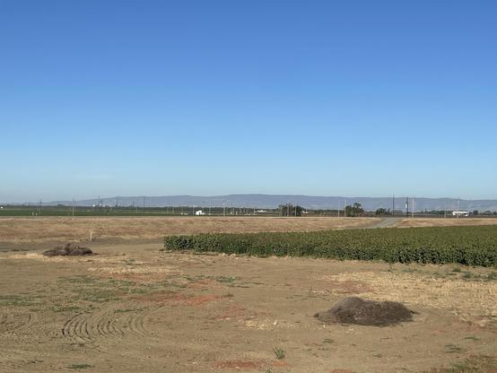 The gross brown Central Valley in the summer, looking west towards the Coast Ranges