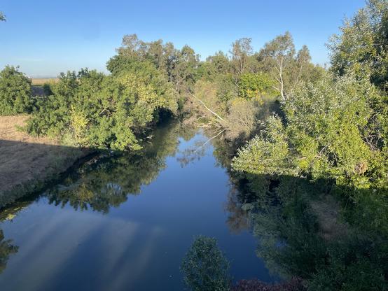 A river flowing through the central valeey, surrounded by trees and shadowed by a bridge