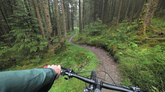 The view over my handlebars of a narrow winding gravel cycle track through the trees