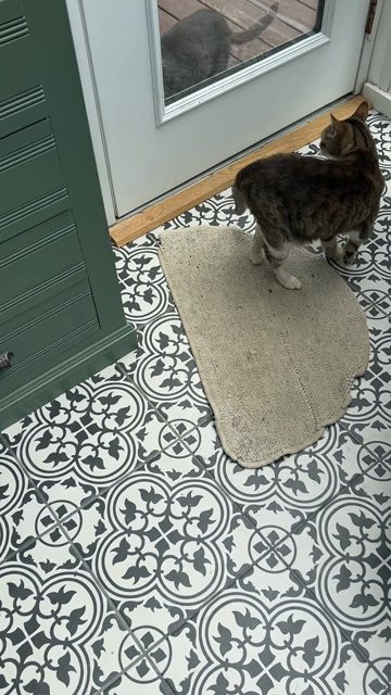 A grey tabby cat goes outside at the same time a grey tux cat comes back inside.