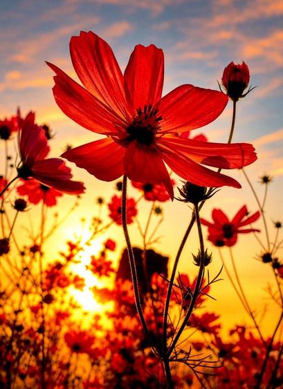 @JordiHamadi

Las religiones divinas fueron fundadas con el propósito de unificar a la humanidad y establecer la paz universal. Cualquier movimiento que genere paz y acuerdo en la sociedad humana es ciertamente un movimiento divino.

'Abdu'l-Bahá - El Maestro