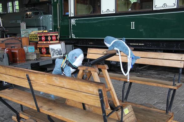 Hapi and Hajco sitting on opposite sides of the handles of a handcar. Hajcos side of the handle is currently in the upper position. The photo shows an overview of the scene