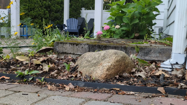 A cute little chipmunk runs over to take a peanut from my hand before bounding away again.