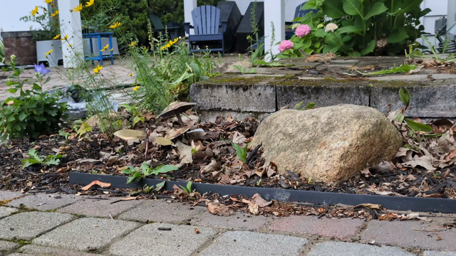 A cute little chipmunk runs over to take a peanut from my hand before bounding away again. Again.