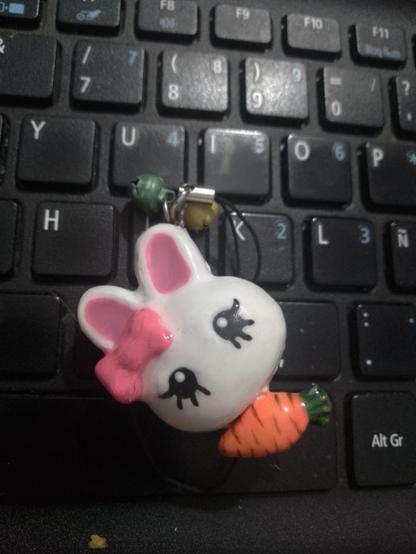 Image attached toot