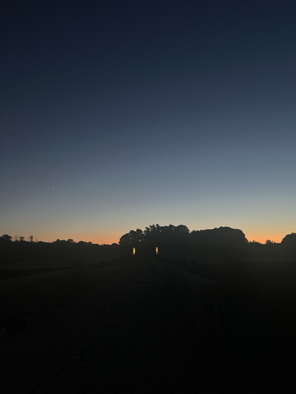 Sunset on the horizon of a garden